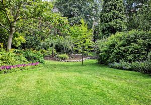 Optimiser l'expérience du jardin à Etampes-sur-Marne